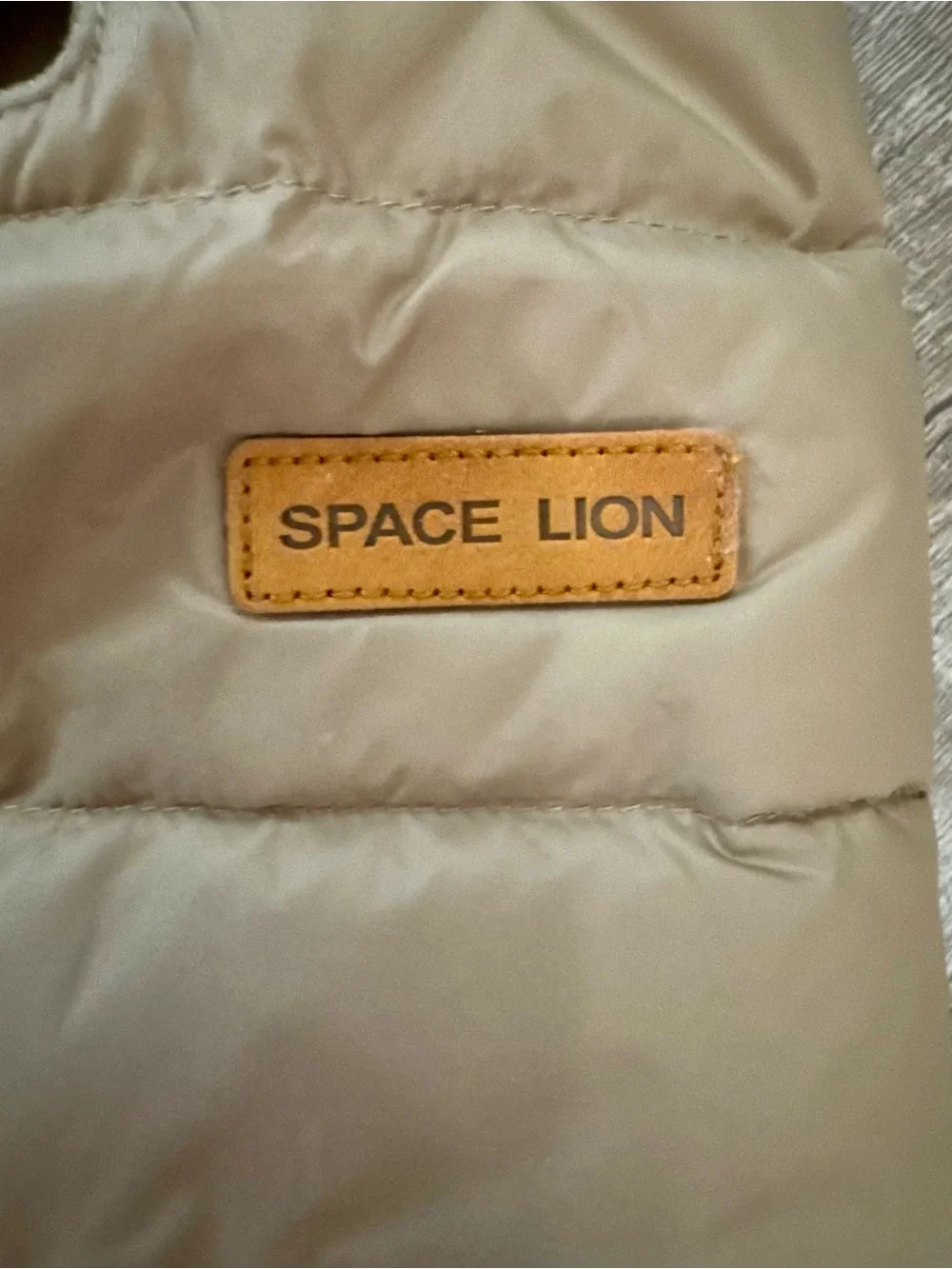 Space Lion keep your